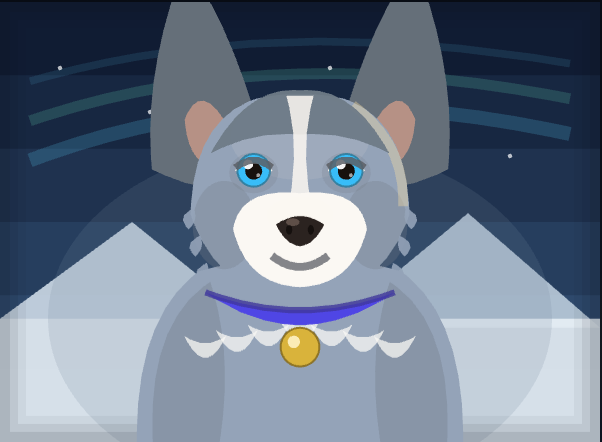 Chief Luna, a Husky, under the aurora.